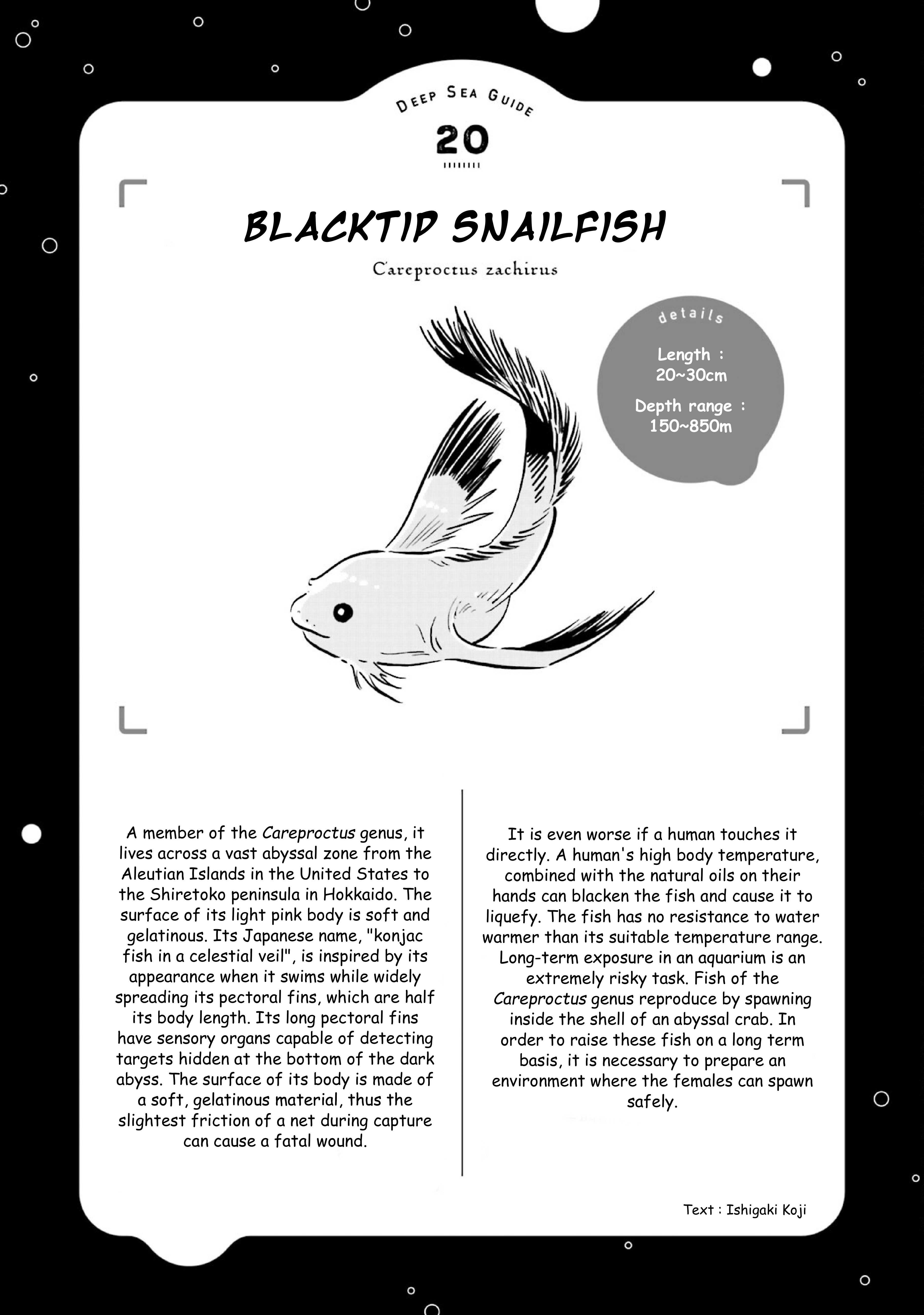 Deep Sea Aquarium Magmell - Vol.5 Chapter 23: Blacktip Snailfish