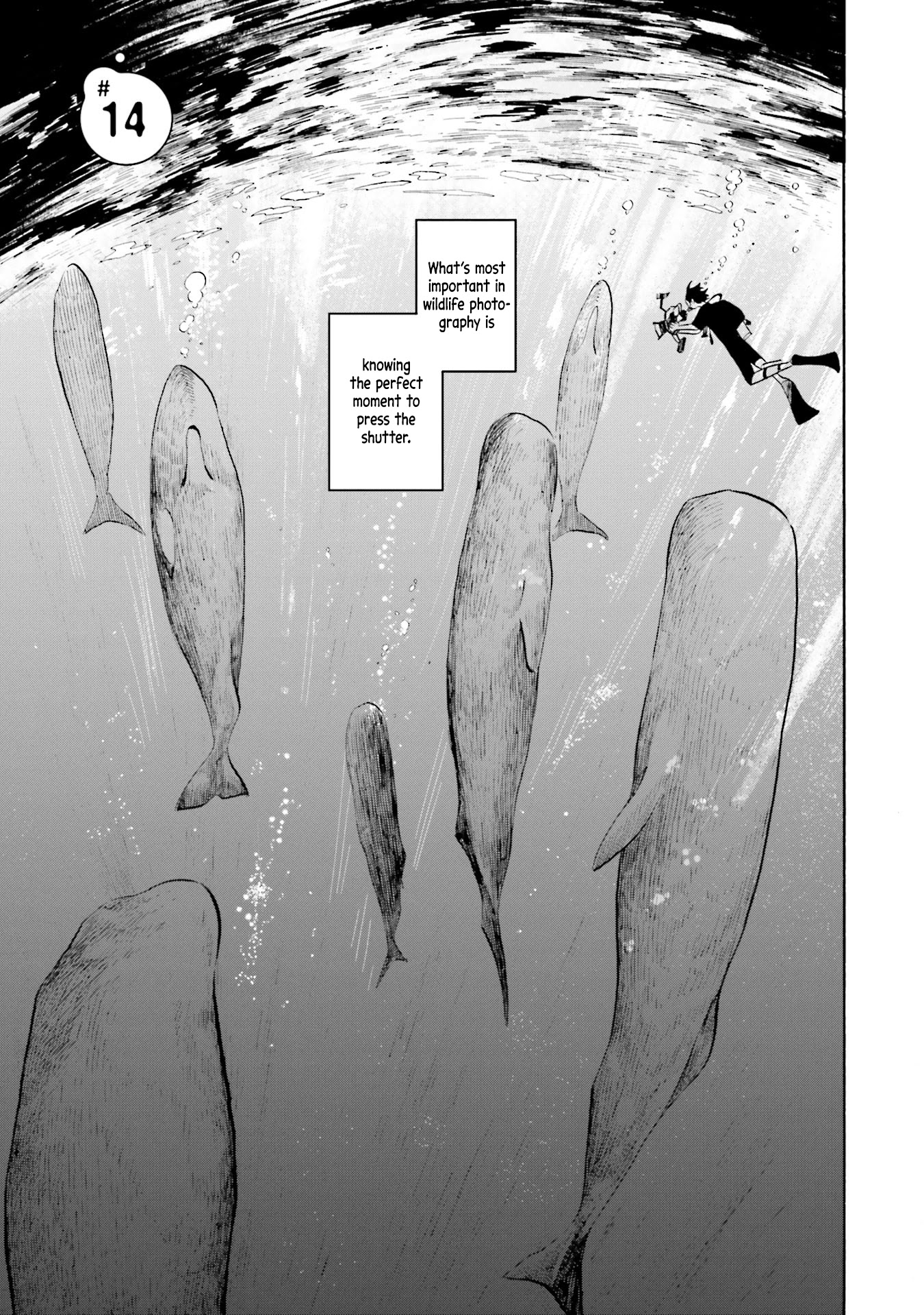 Deep Sea Aquarium Magmell - Chapter 14: Helmet Jellyfish, Part 2