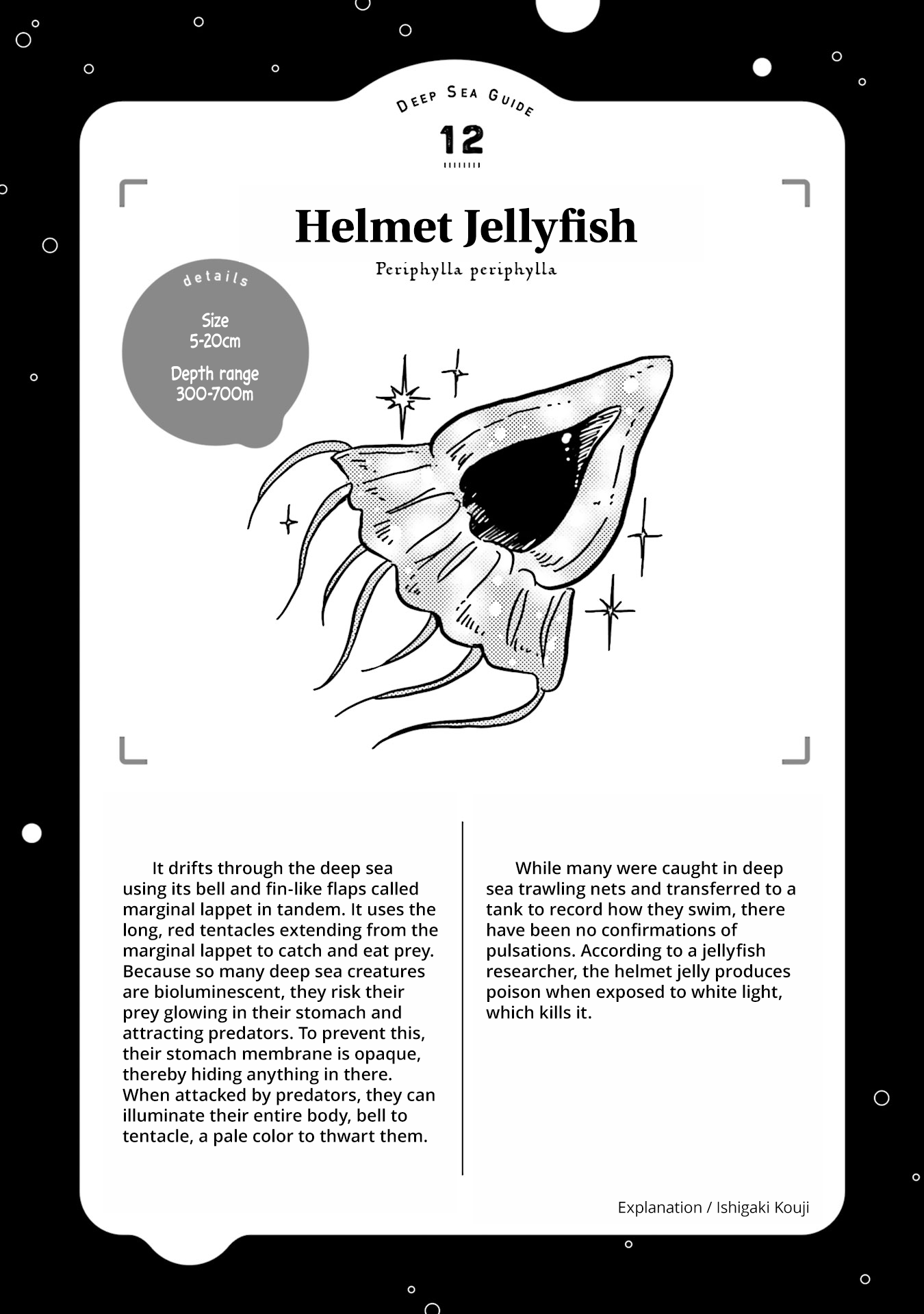 Deep Sea Aquarium Magmell - Chapter 14: Helmet Jellyfish, Part 2