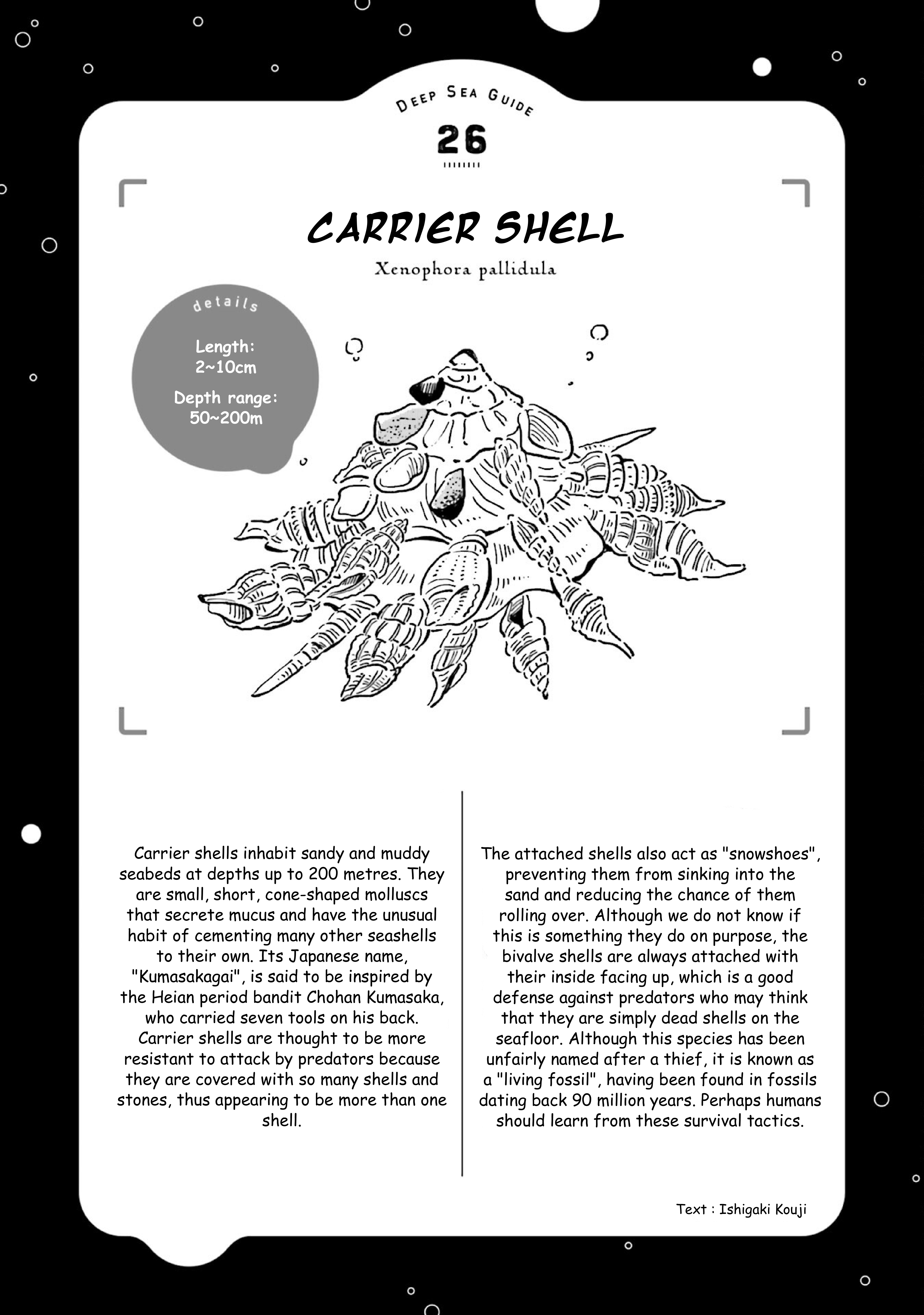 Deep Sea Aquarium Magmell - Vol.7 Chapter 31: Carrier Shell