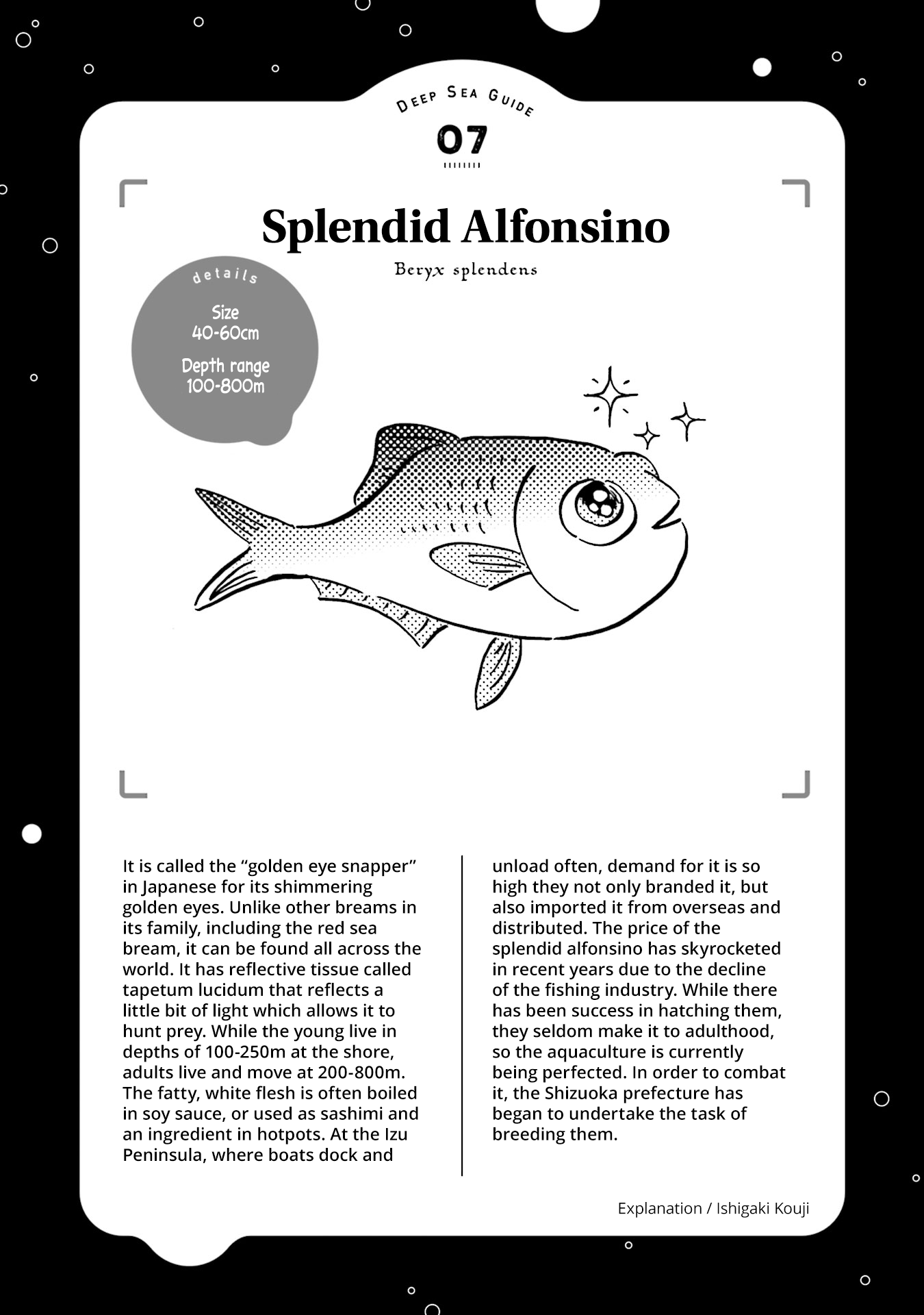 Deep Sea Aquarium Magmell - Chapter 7: Splendid Alfonsino