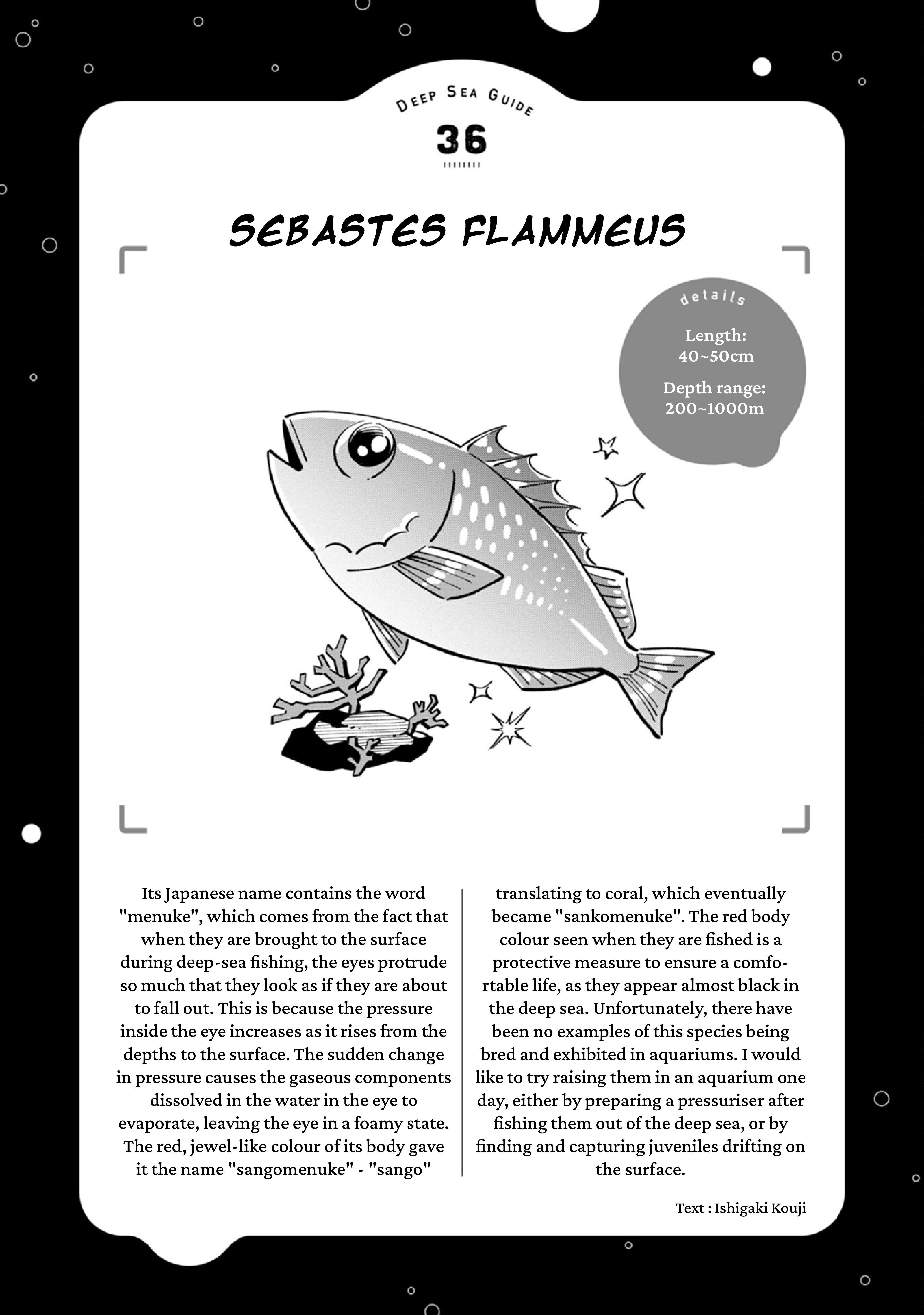 Deep Sea Aquarium Magmell - Vol.9 Chapter 45: Sebastes Flammeus