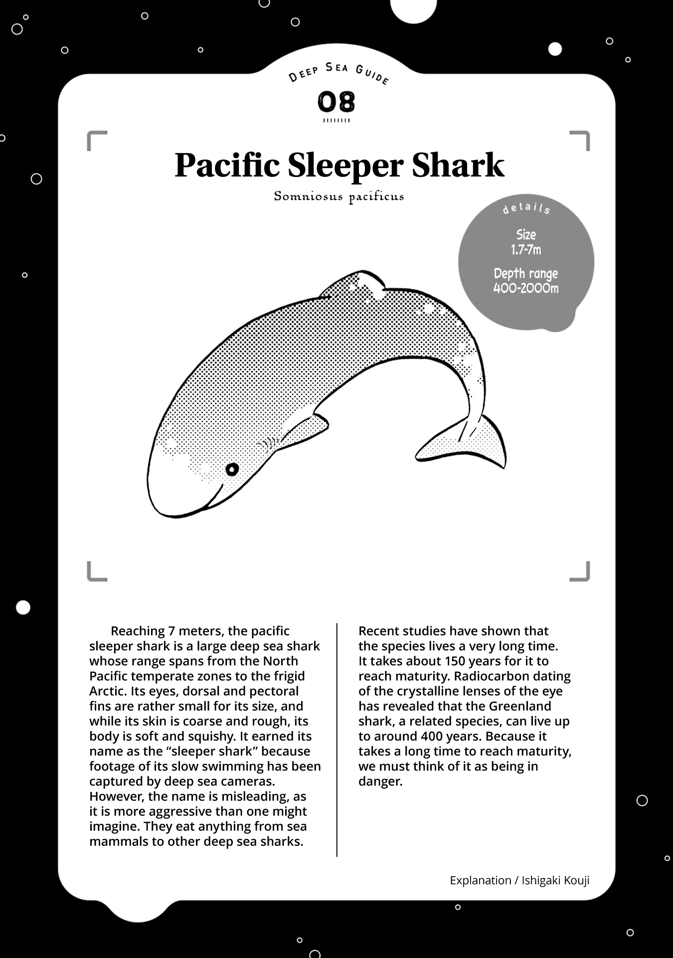 Deep Sea Aquarium Magmell - Chapter 9: Pacific Sleeper Shark, Part 2