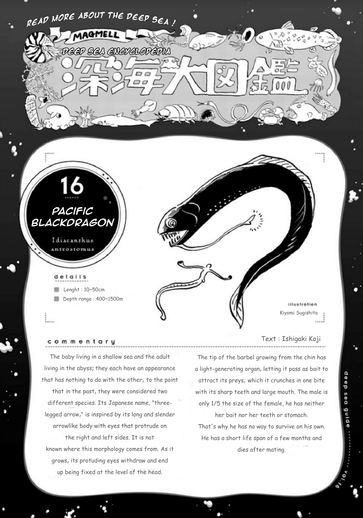 Deep Sea Aquarium Magmell - Chapter 18: Pacific Blackdragon