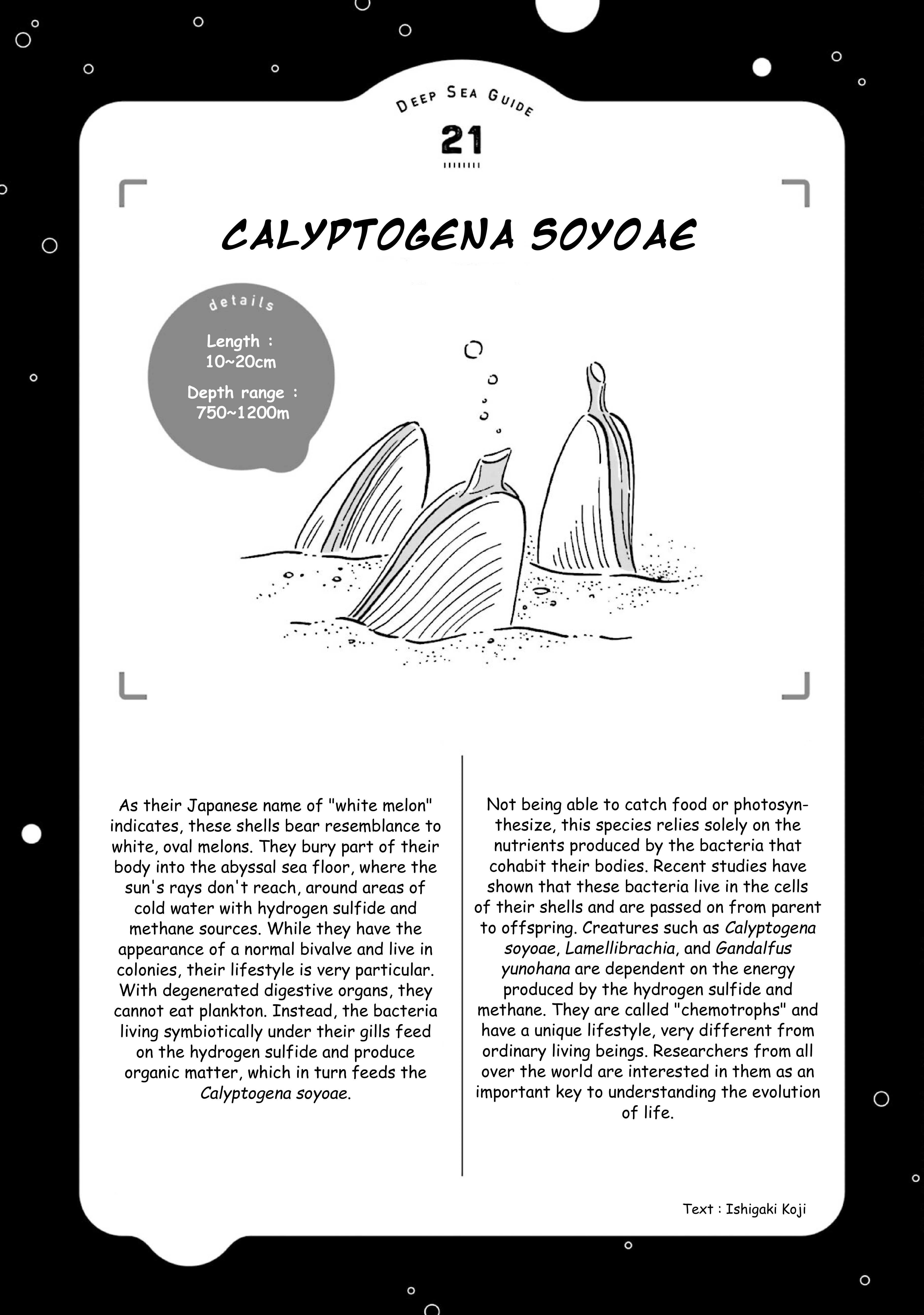 Deep Sea Aquarium Magmell - Vol.5 Chapter 25: Calyptogena, Part 2