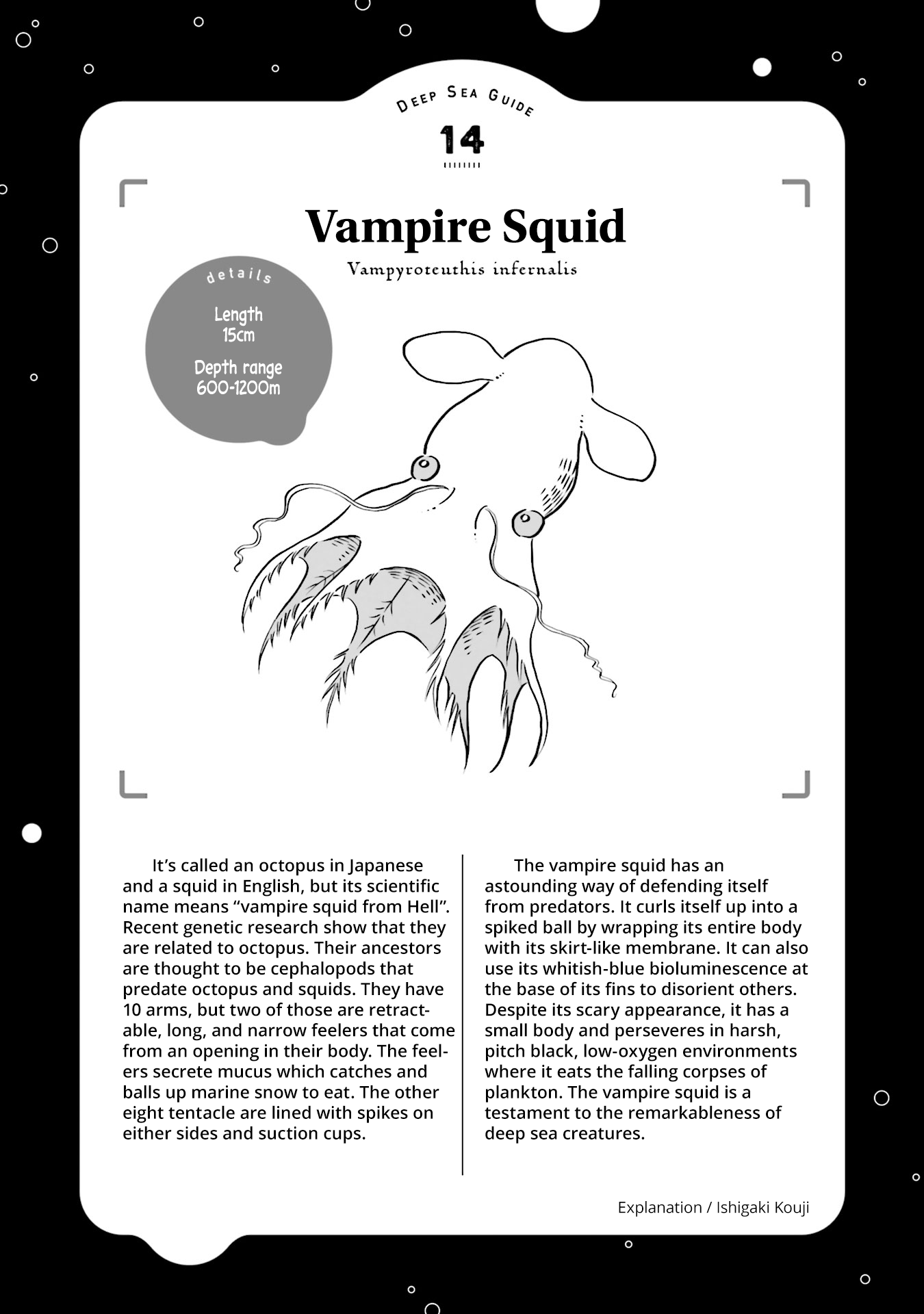 Deep Sea Aquarium Magmell - Chapter 16: Vampire Squid