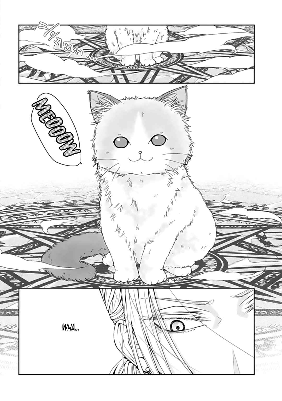 The Hero Summoned From Another World Is A Cat - Chapter 1