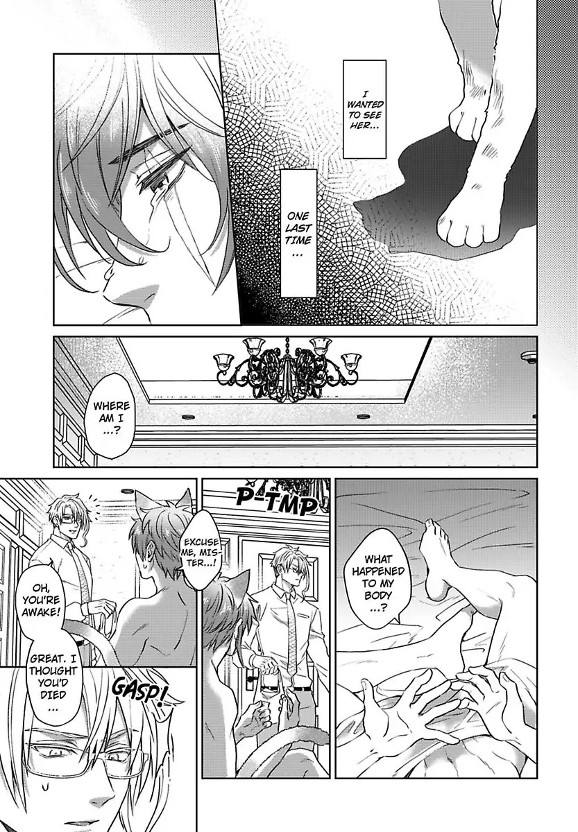 Mofumofu Bakashiai Nikki - Chapter 3