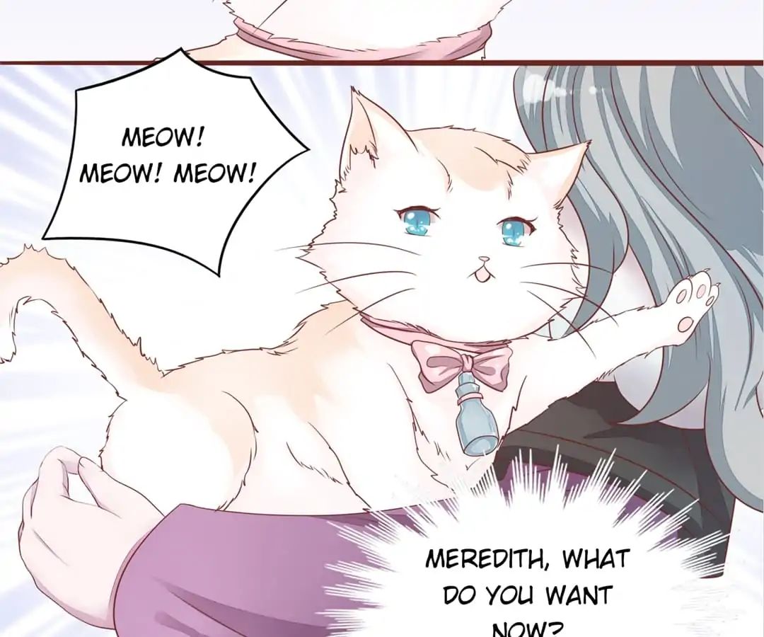 Guide To Raising Kitty Boyfriend - Chapter 52