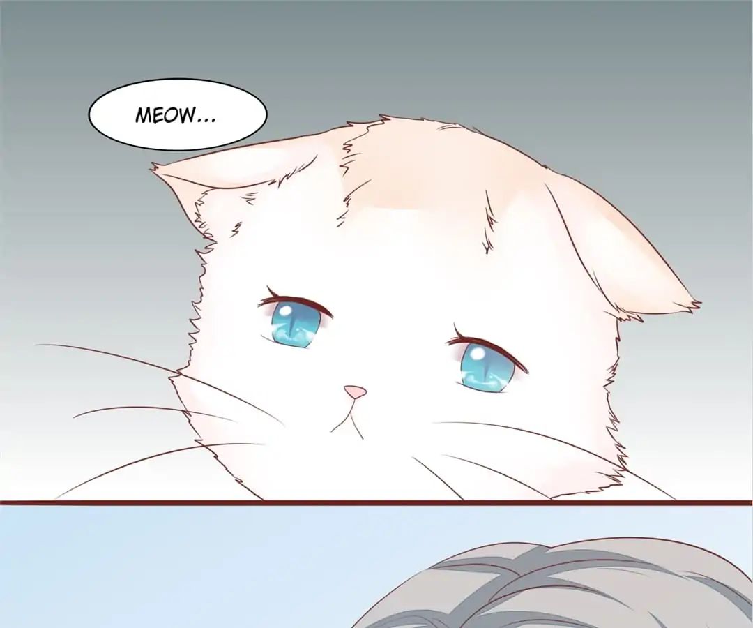 Guide To Raising Kitty Boyfriend - Chapter 52