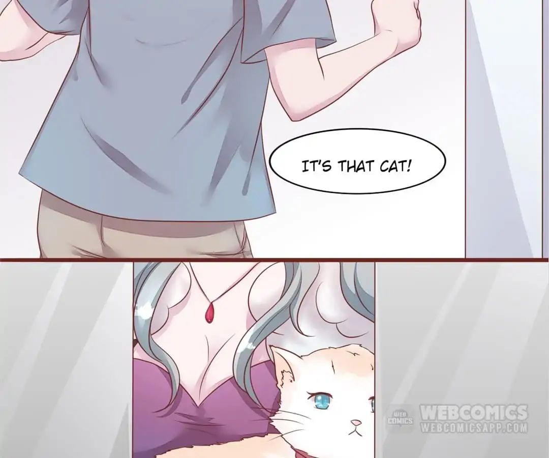 Guide To Raising Kitty Boyfriend - Chapter 52