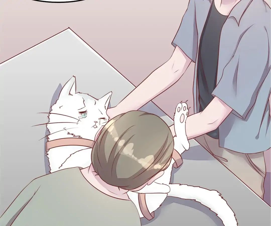 Guide To Raising Kitty Boyfriend - Chapter 54