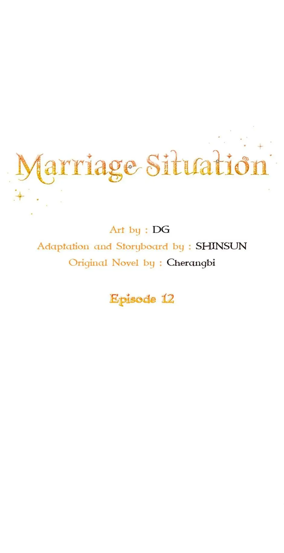 Marriage Situation - Chapter 12