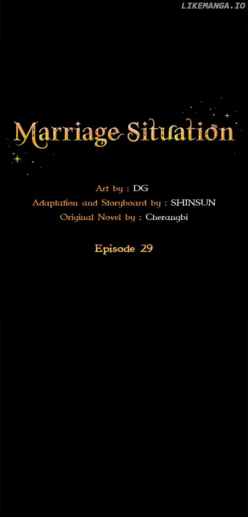 Marriage Situation - Chapter 29