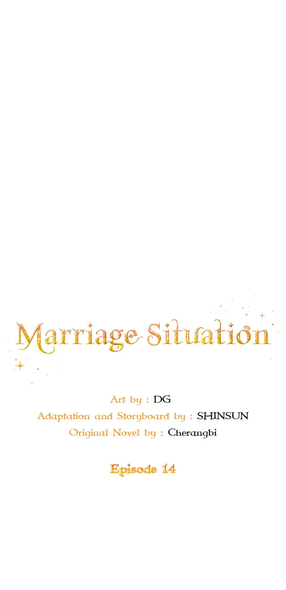 Marriage Situation - Chapter 14