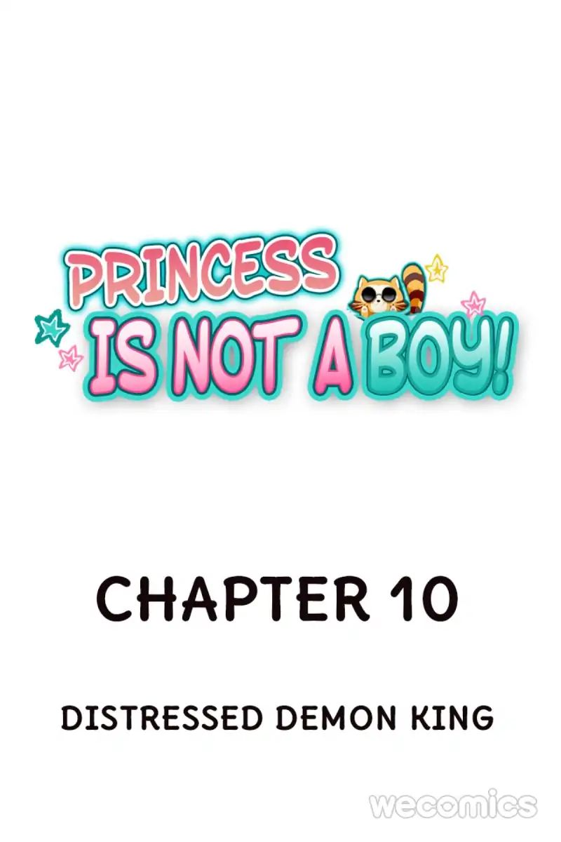 Princess Is Not A Boy - Chapter 10: Distressed Demon King