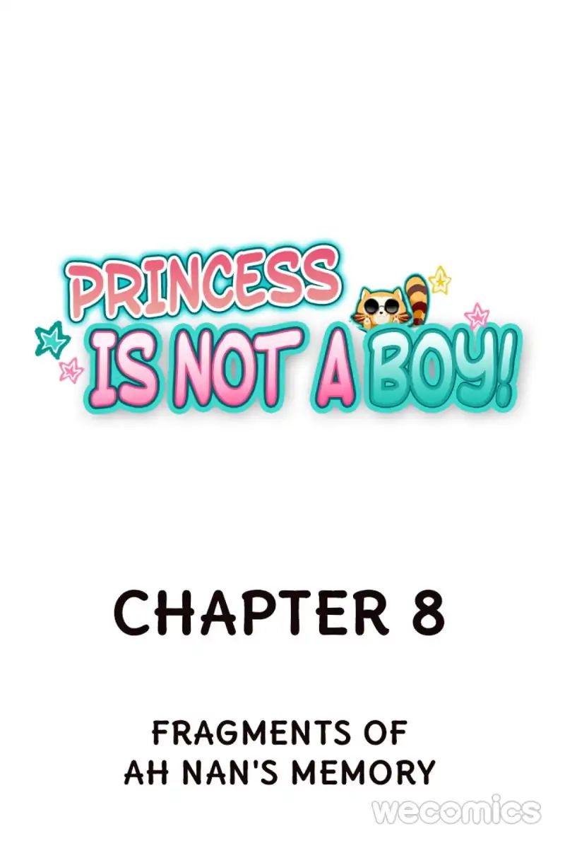 Princess Is Not A Boy - Chapter 8: Fragments Of Ah Nan's Memory