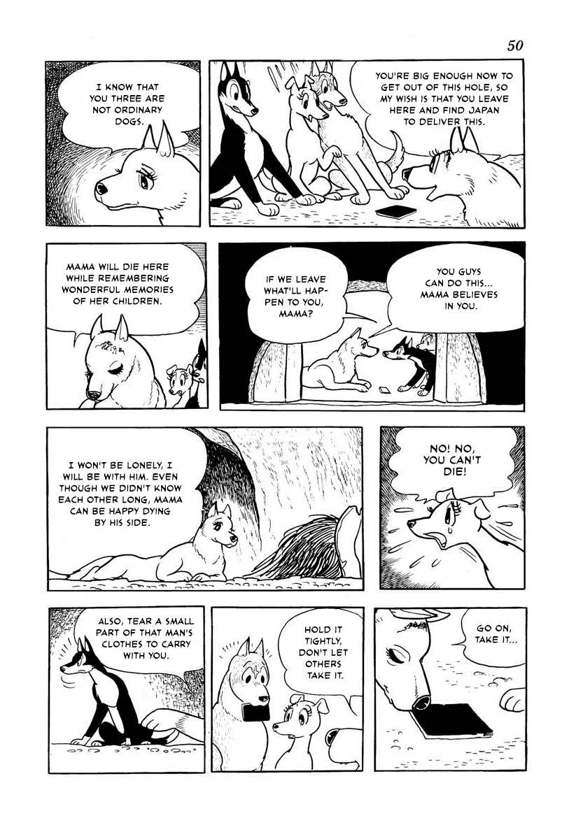 Flying Ben - Chapter 2: The Pursued Man And Dog