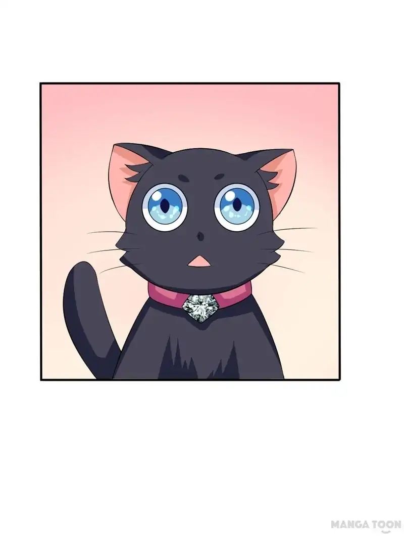 At Your Service, Kitty - Chapter 15