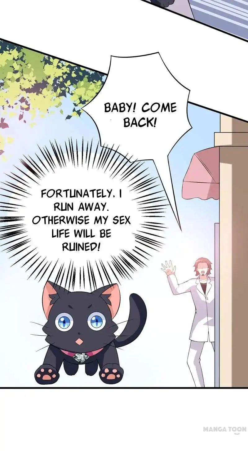 At Your Service, Kitty - Chapter 24