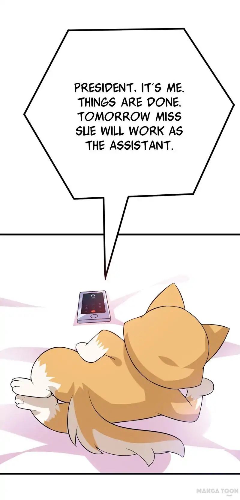 At Your Service, Kitty - Chapter 40