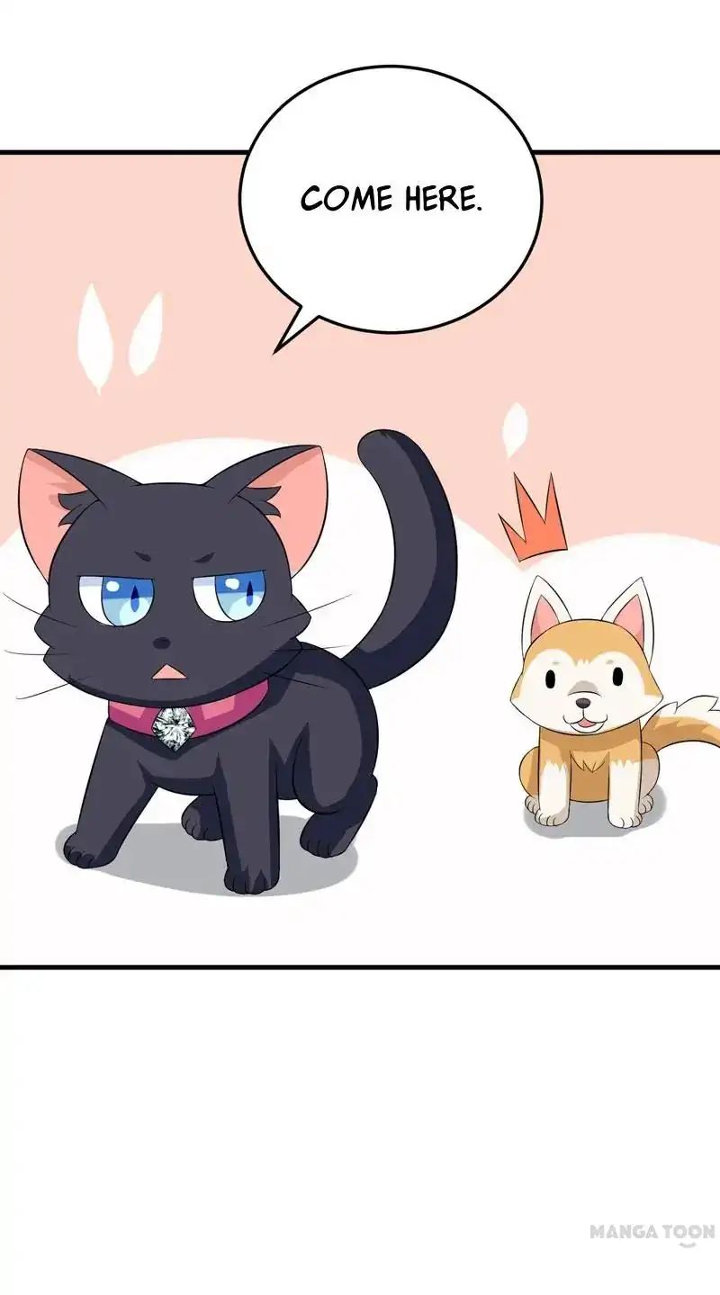 At Your Service, Kitty - Chapter 25