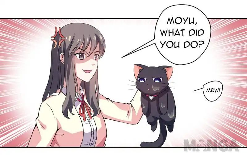 At Your Service, Kitty - Chapter 3