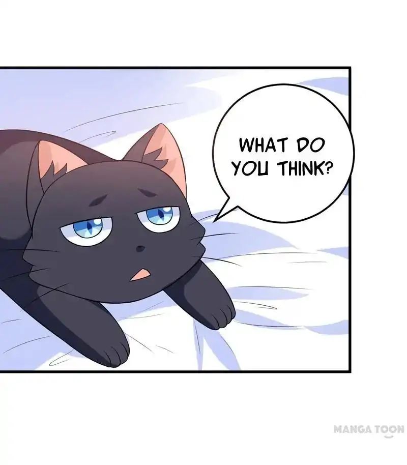 At Your Service, Kitty - Chapter 29