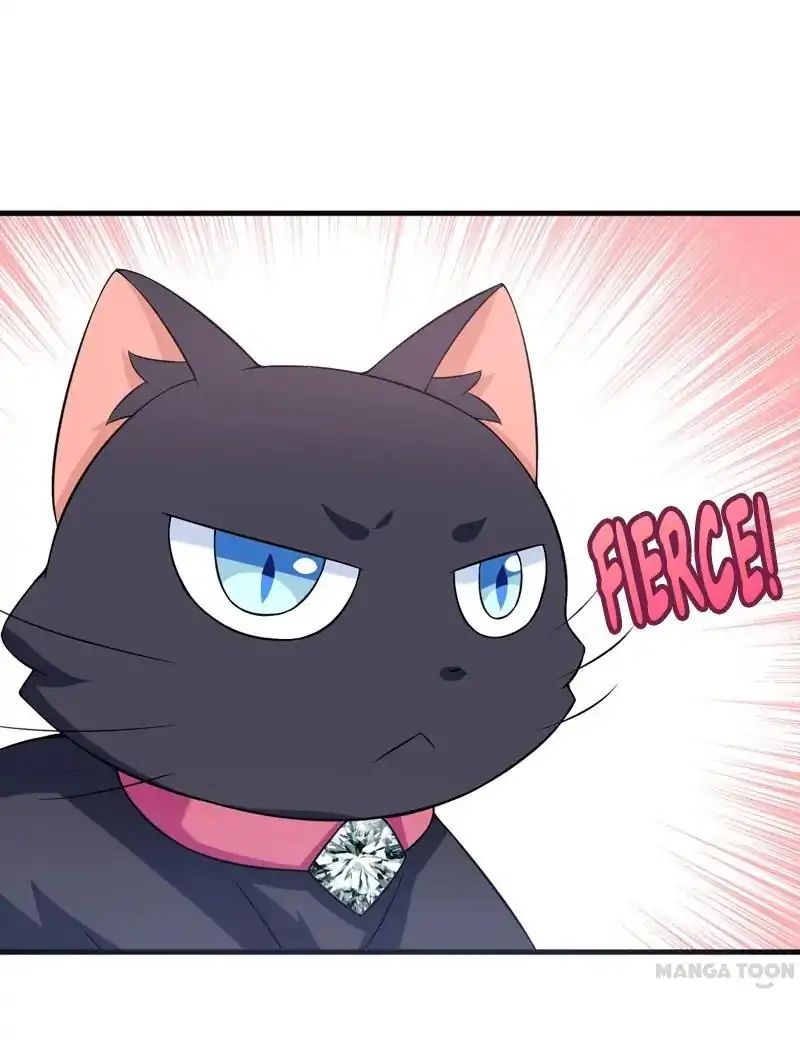 At Your Service, Kitty - Chapter 29