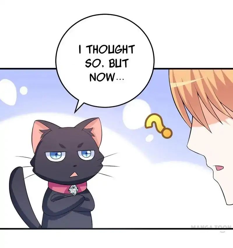 At Your Service, Kitty - Chapter 29