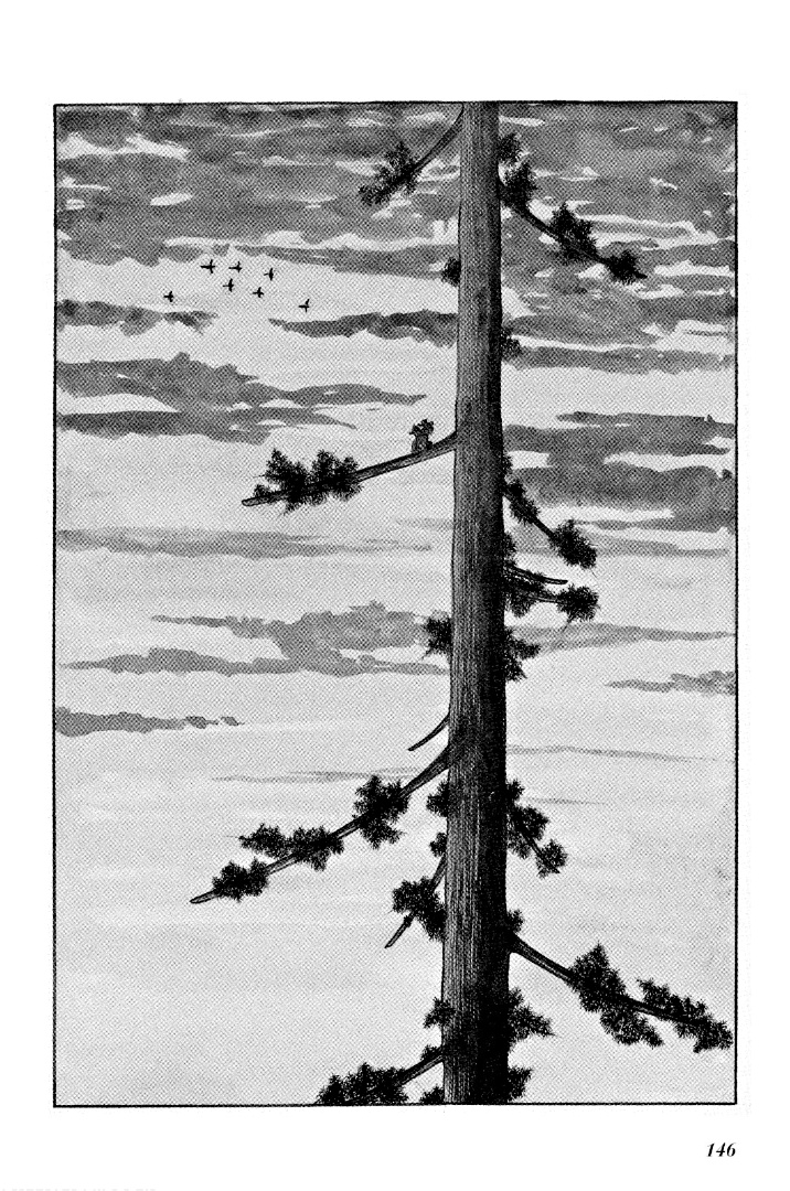 Folklore Series - Vol.1 Chapter 3: Tale Of The 1000 Year-Old Cedar