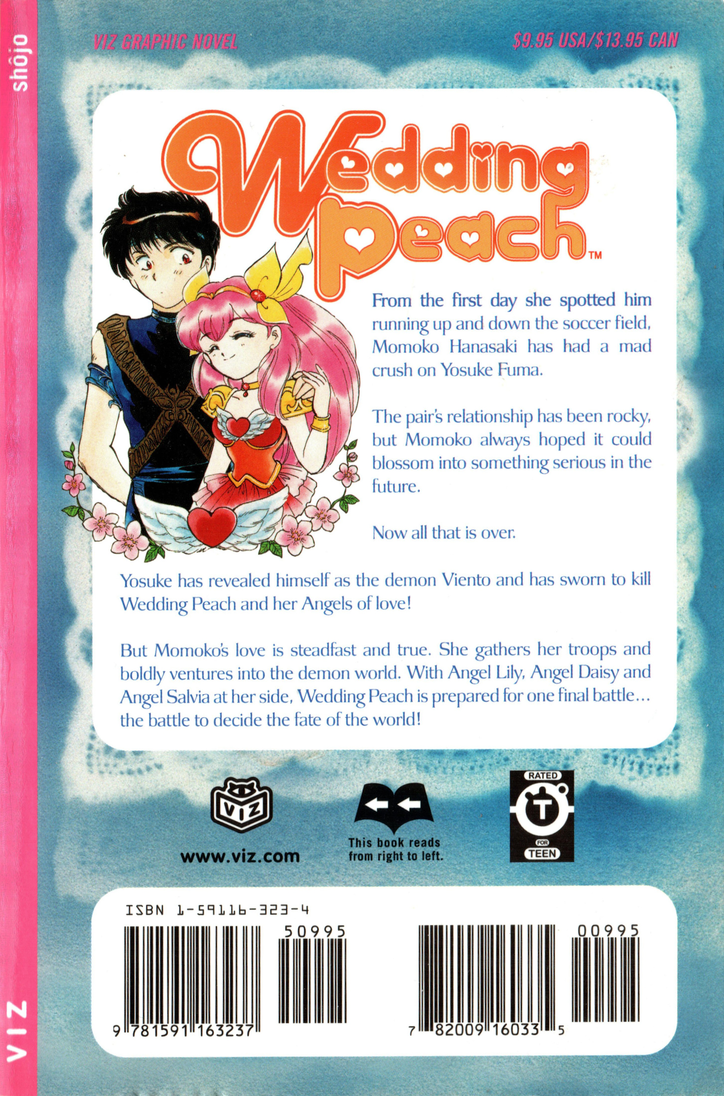 Wedding Peach - Vol.6 Chapter 26.2: Special Bonus Story