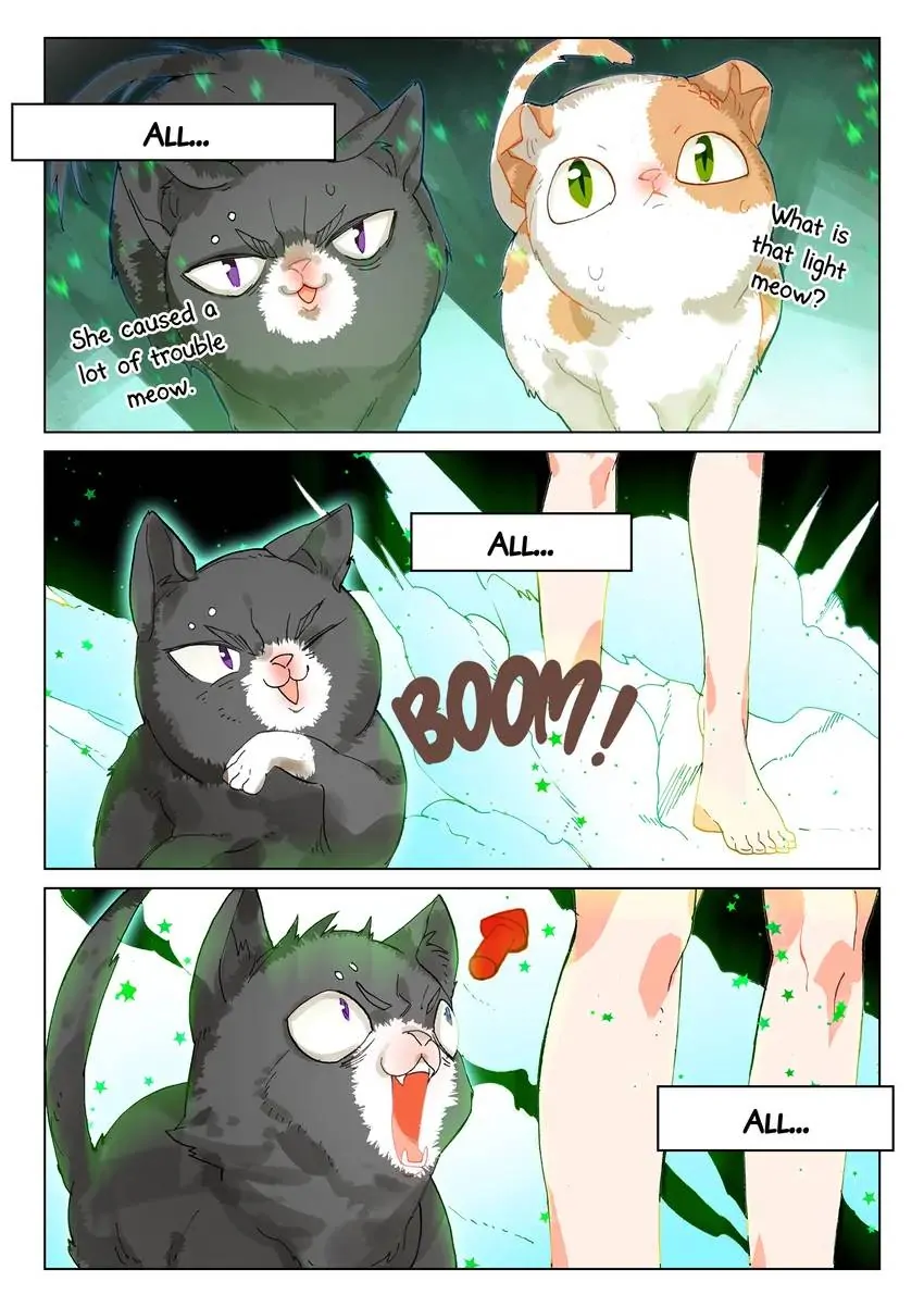 Catbox Reverse - Chapter 29.6