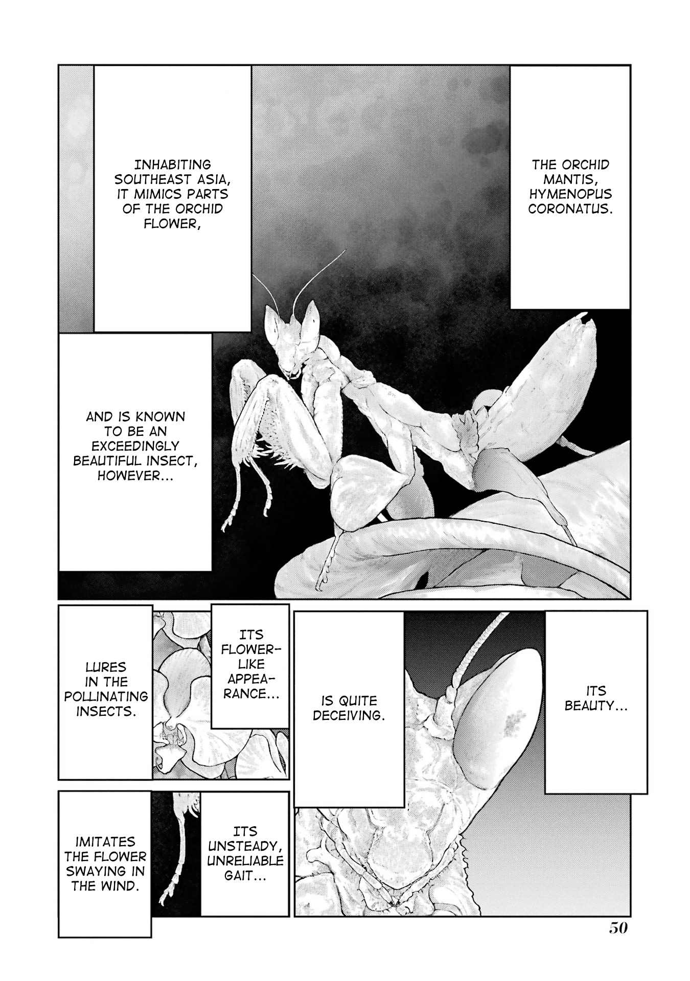 Blattodea - Vol.4 Chapter 15: Fujii Alice Is Hesitating