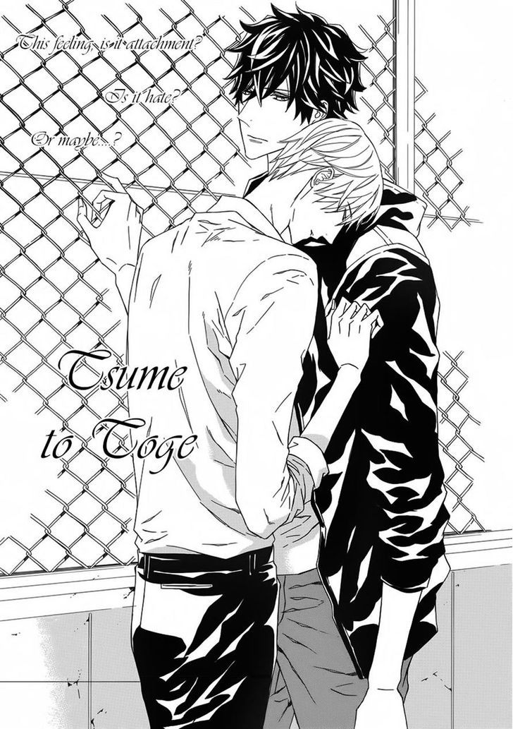 Tsume To Toge - Vol.1 Chapter 5