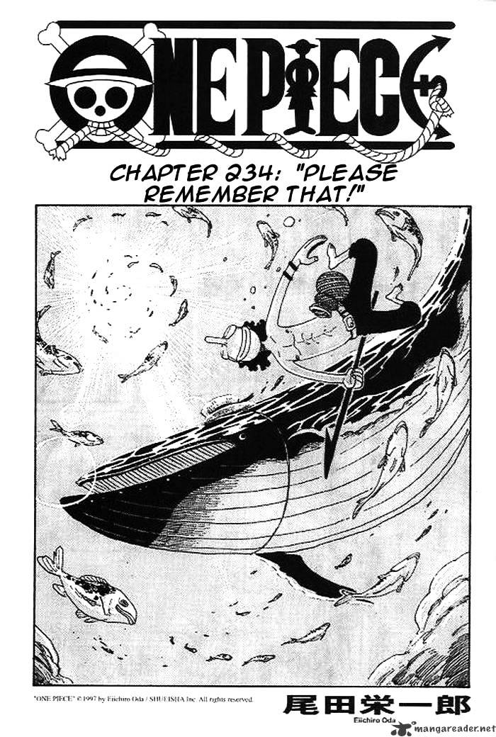 One Piece - Chapter 234 : Please Remember That!