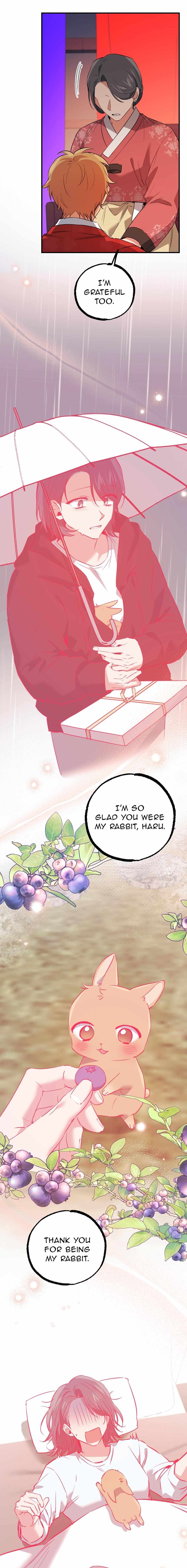 Habibi's Rabbits - Chapter 65