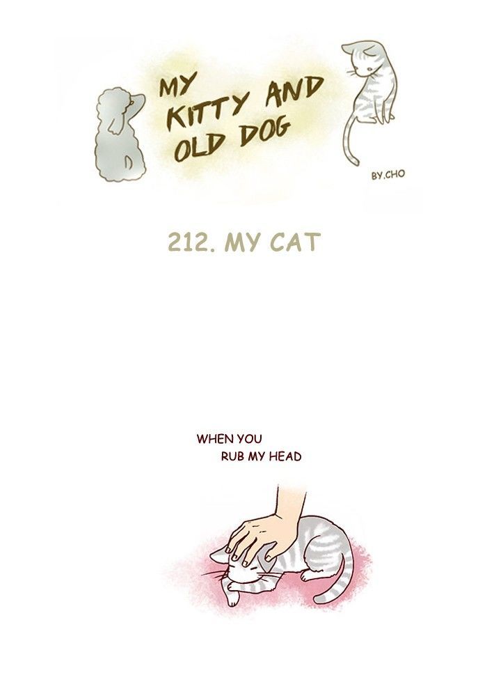 My Young Cat And My Old Dog - Chapter 212