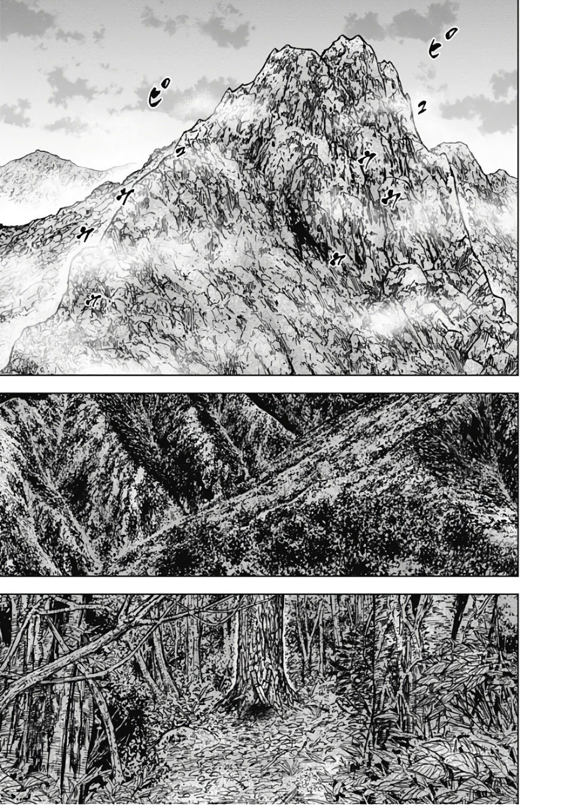 Monkey Peak - Vol.12 Chapter 119: The Mountain