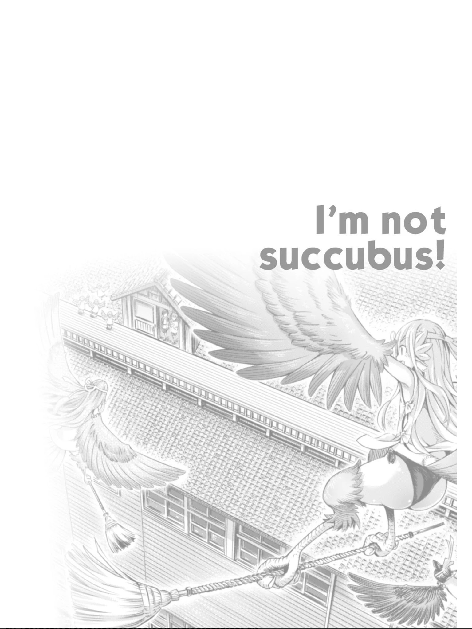 I Am Not A Succubus - Chapter 10: Leave The Spider Web Until After The Cleaning