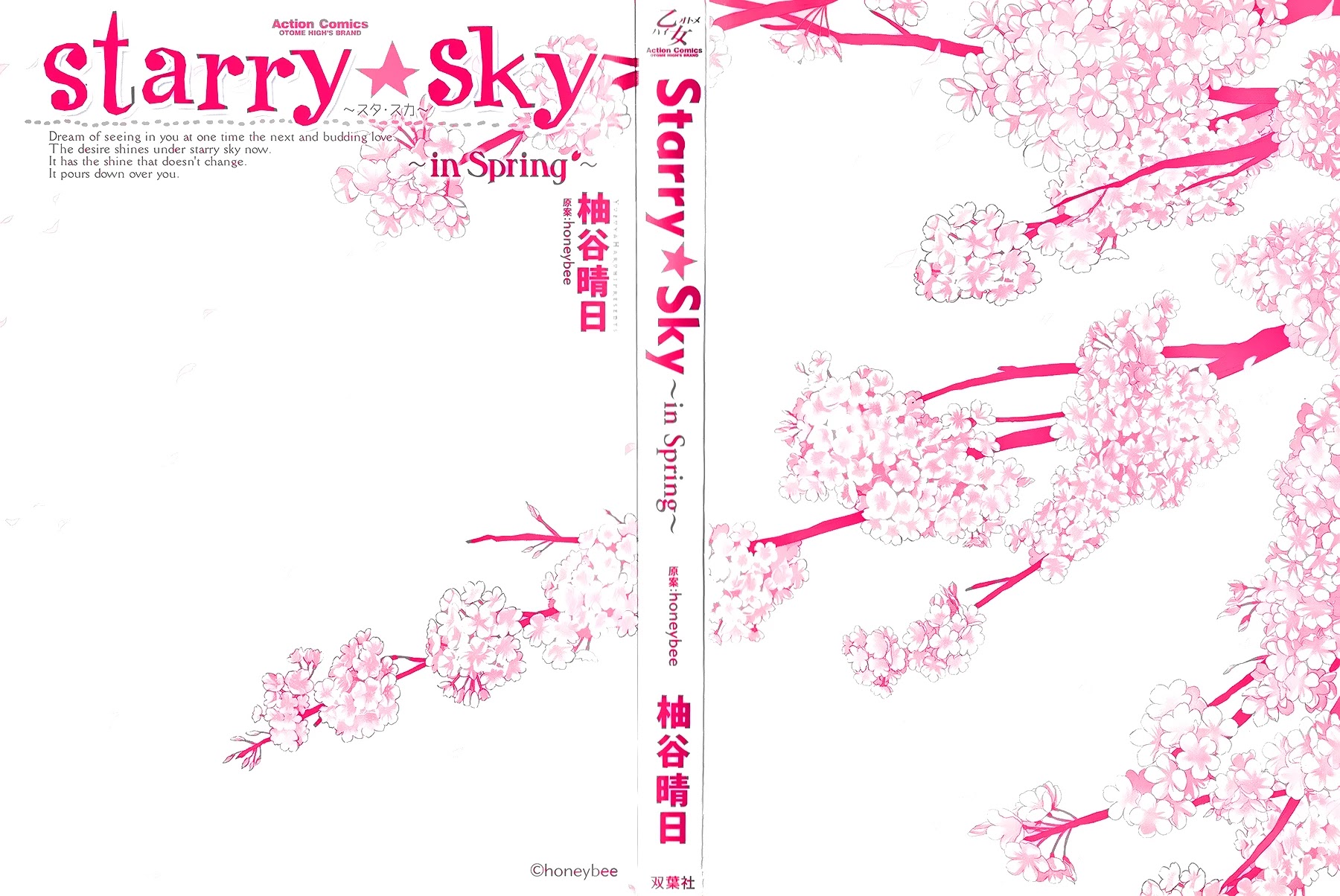 Starry Sky - In Spring - Chapter 15: Author's Notes [End]