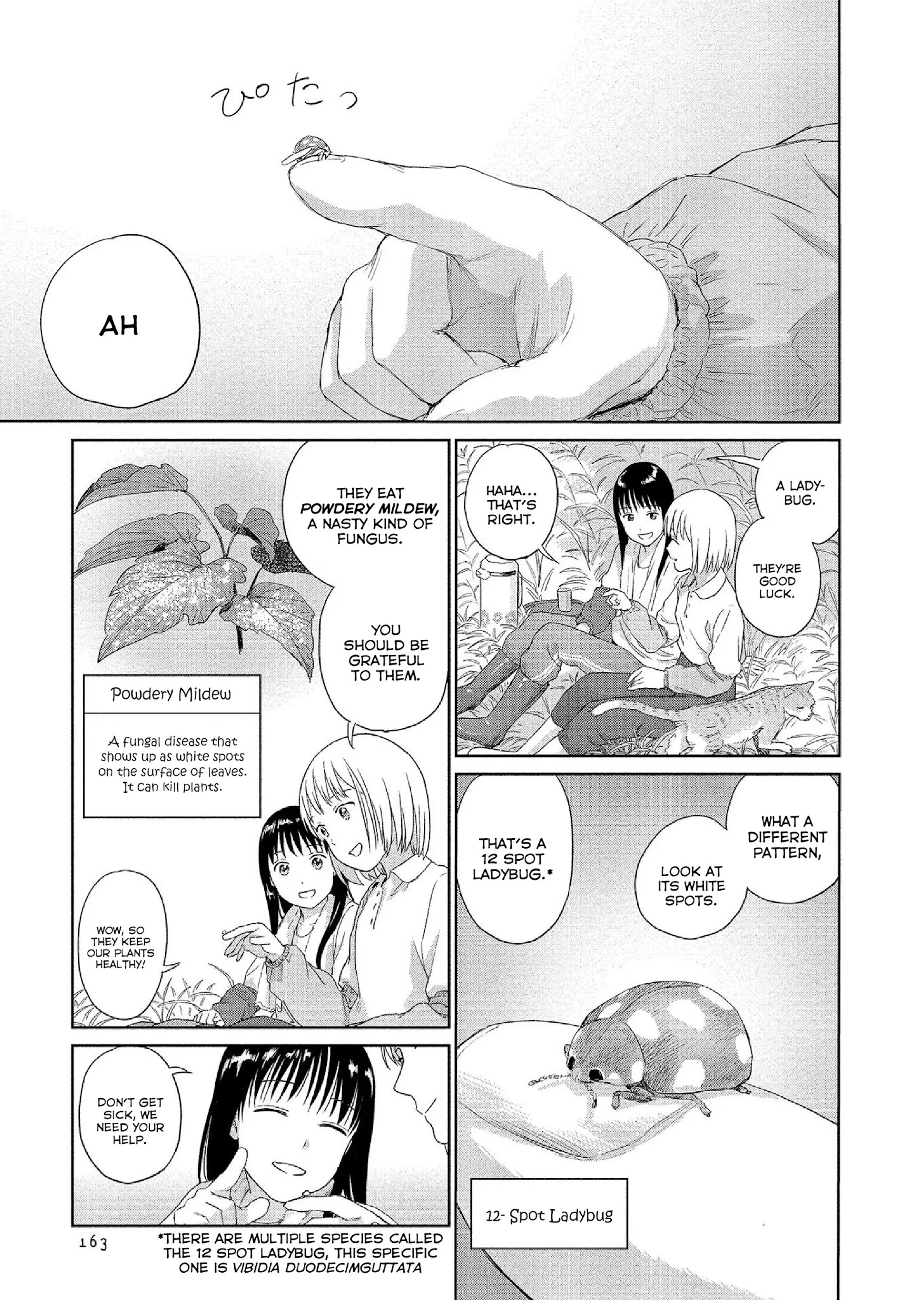 Mai No Mushigurashi - Chapter 34: Spot Ladybug [End]