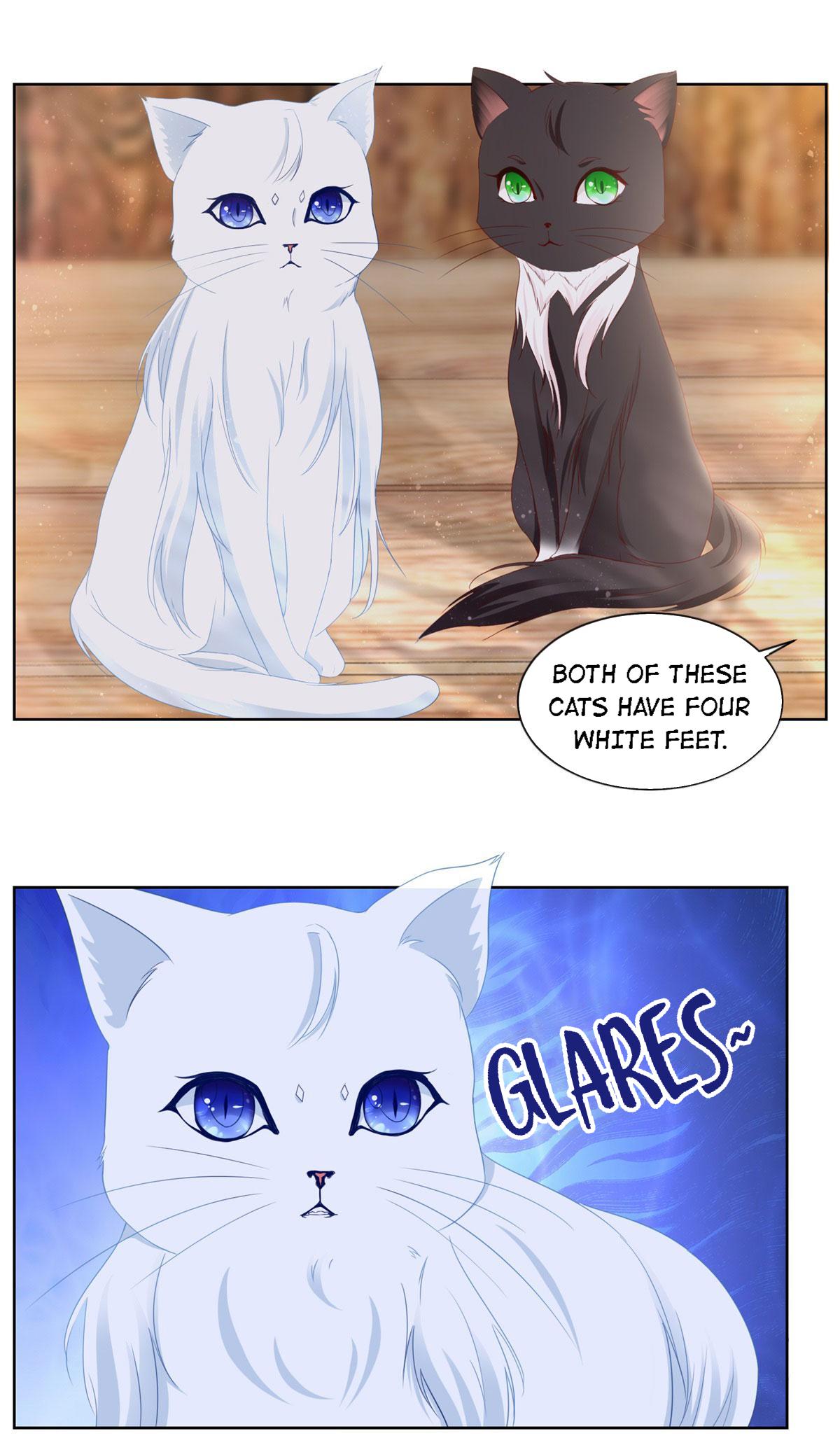 I Just Want To Be A Useless Duke's Daughter - Chapter 4.2: Two Cats