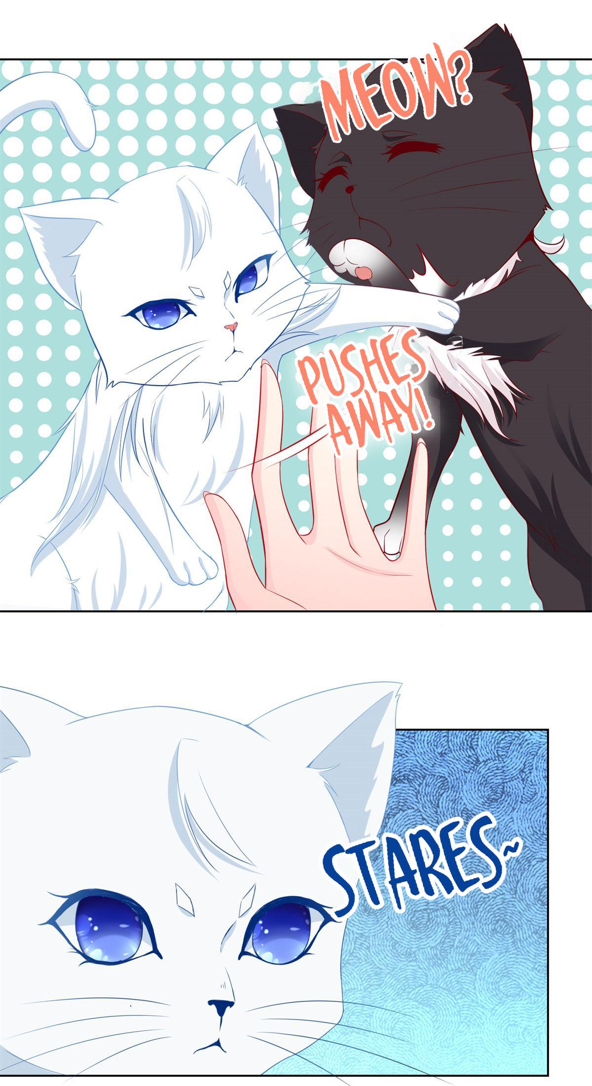 I Just Want To Be A Useless Duke's Daughter - Chapter 4.2: Two Cats