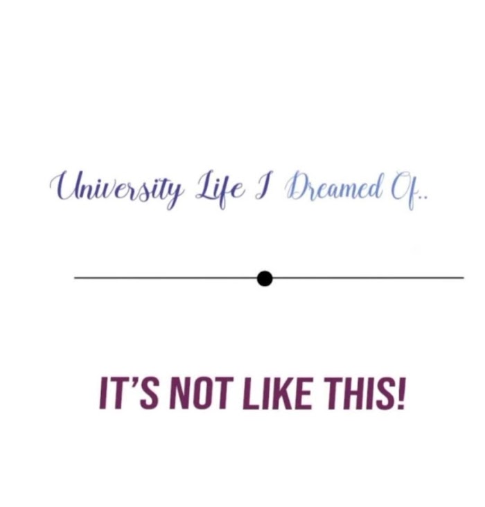 University Life I Dreamed Of… It's Not Like This! - Chapter 37