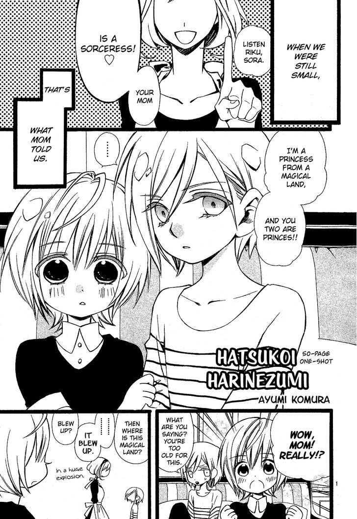 Hatsukoi Harinezumi - Chapter 1