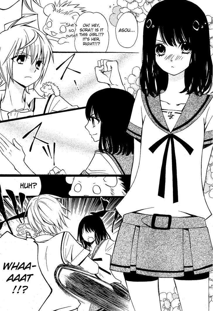 Hatsukoi Harinezumi - Chapter 1