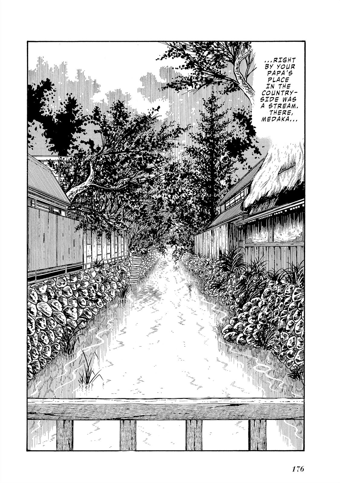 The Blue Hue Of Manga - Vol.1 Chapter 7: The Medaka In The Stream