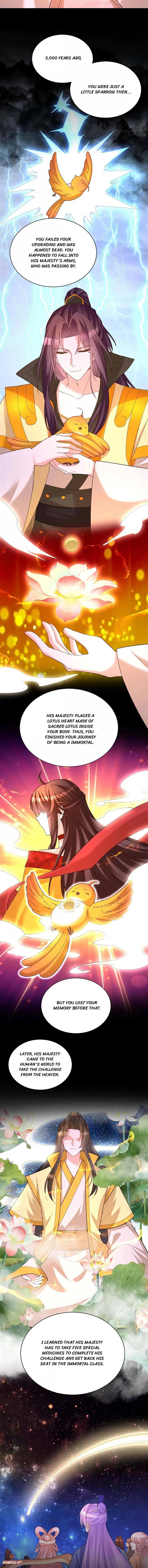 Boss Of The Emperor’s Harem - Chapter 194