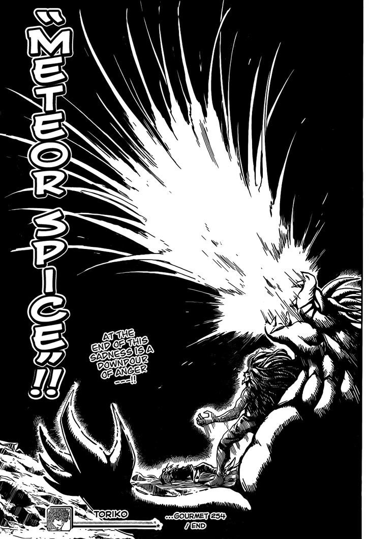 Toriko - Chapter 254 : A Sad End!!